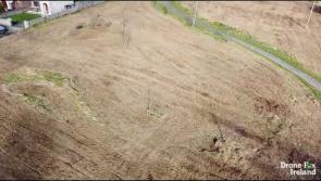 WATCH Work kicks into action on the natural transformation of Abbeyleix estate green space