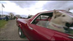All roads leads to the Midands for fans of the cream of American automobiles