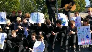 Watch - Laois Climate Action protest mounted in Portlaoise 