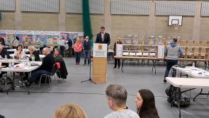 WATCH: Laois Returning Officer announces election of Willie Aird in Portlaoise