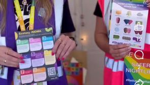 WATCH: HSE Harm Reduction Volunteers issue advice at Electric Picnic in Laois 