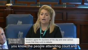 WATCH: Portlaoise Main Street becoming 'chaotic and unsafe' says Senator 