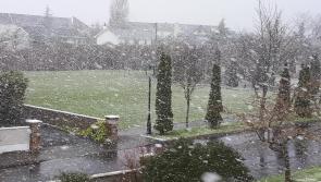 WATCH Spring snow shower in Laois #Sneachta