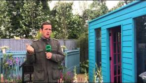 Bloom to feature dog friendly garden designed by Laois based Brian Burke