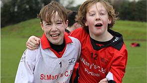 IN PICTURES: Portlaoise CBS victorious in Laois GAA first year schools competition