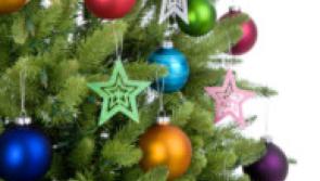 Mountrath Scouts Christmas tree appeal