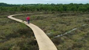 €75,000 announced for Laois bog restoration project 