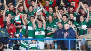 Portlaoise GAA plans to build stand at its ground in Rathleague