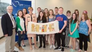 Mountmellick Youth Development Centre to celebrate 20 years 