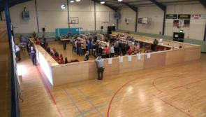Political parties not running abortion referendum tallies at Laois count