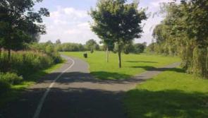 Laois council closes park for repair works