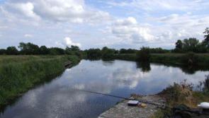'Criminal damage to nature is a crime' - conviction and big fines in Laois 