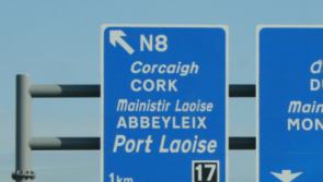 Fear of sheep wandering onto motorway in Laois