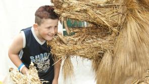 Future of Durrow Scarecrow Festival hangs on local meeting