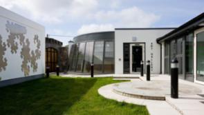 Connect to mental health with felt making workshop in Laois