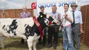 Reeling in the Years harvest at the Ossory Show in Laois this July