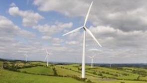 Permission granted to appeal quashing of Bord na Móna Midlands windfarm