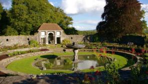 Laois 'wonderland' perfect place to 'romance your loved one' says Fáilte Ireland