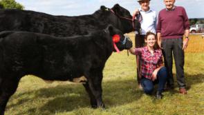 Clonaslee Show returns for 66th year