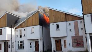 No progress by council to redevelop a vandalised abandoned Portlaoise estate