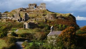 ‘Traumatised’ by fatal crash at Laois landmark 
