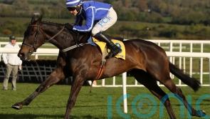 Willie Mullins ponders 'different way of beating' Shishkin before any rematch 