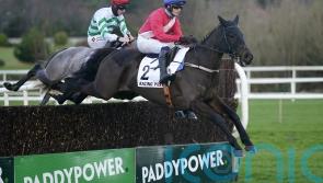 Big blow as Arkle favourite Ferny Hollow is ruled out of Cheltenham