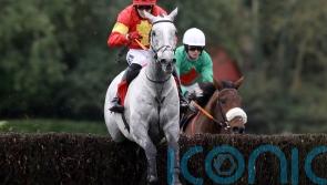 Cromwell expecting better from Cheltenham hero Vanillier at Naas