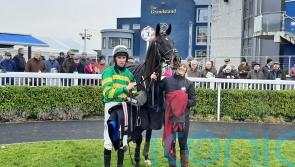 Darasso surprises favourite Saint Felicien in Limestone Lad Hurdle