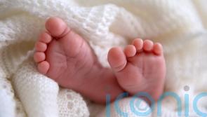 Parents of children born through surrogacy must be recognised legally, says Irish academic
