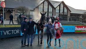 No Cheltenham for Sandor Clegane, Nolan confirms