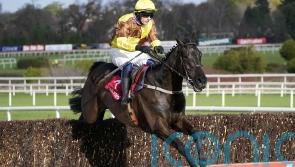 Galopin Des Champs bounces back from Cheltenham drama with easy Fairyhouse win