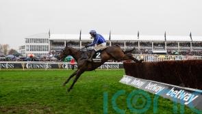 Willie Mullins' duo will take each other on at Punchestown