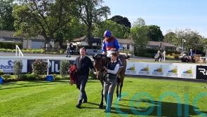 Alfred Munnings impresses in winning debut at Leopardstown