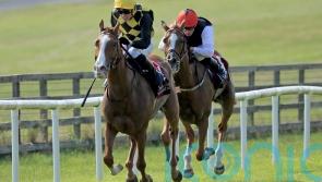 Raise You bounces back to come home a winner at Curragh
