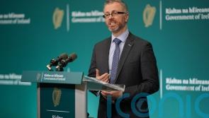 Coalition saw Troy controversy as ‘significant issue’ – Green Party minister