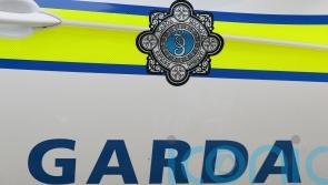 Man arrested after garda injured in Co Kildare incident