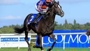 RACING: O'Brien's Auguste Rodin tops Futurity Trophy field
