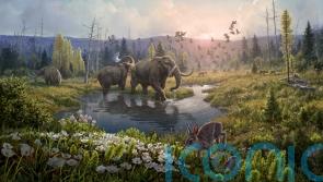 New discovery: Scientists identify world’s oldest DNA
