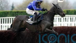 Cork card gets the go-ahead as track passes inspection for Energumene return