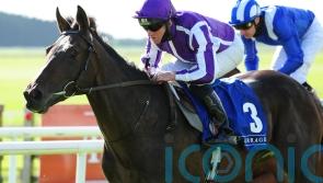 High Definition poised for St Stephen's Day hurdles bow at Leopardstown