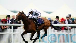 Ascot up next for Dubai Gold Cup hero Broome