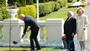 Biden expresses hope his great-grandchildren can climb tree he planted in Dublin