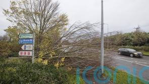 Woman taken to hospital after being hit by Storm Debi debris