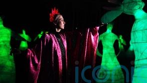 Illuminated artworks exhibition opens at National Botanic Gardens