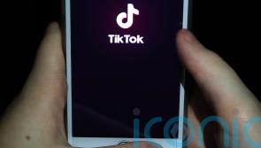 TikTok removes 80m under-age accounts per year, committee told