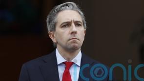 Harris: Israel is misrepresenting the views of the Irish people on Palestine