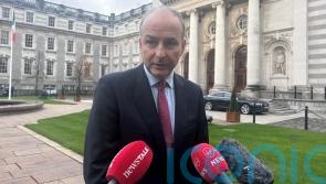Tanaiste plays down reports of suggested election date made by party colleague