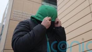 Man, 45, pleads guilty to assaulting Roderic O’Gorman during election canvass