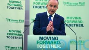 Friday’s election will be ‘closely fought race’ – Tanaiste